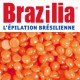 BRAZILIA CIRE ROUGE 500g