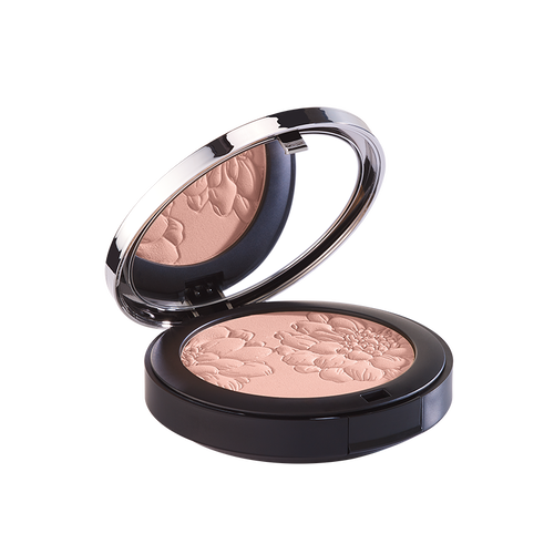 Poudre perfectrice 820